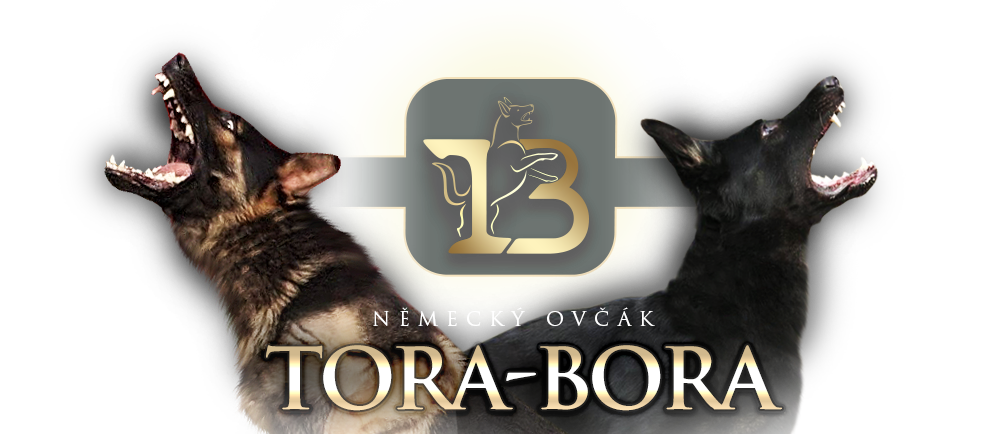 Tora-Bora Německý ovčák